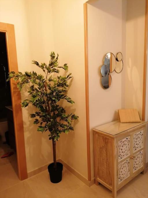 Apartament Atico Duque Gran Terraza Parking Free Kartagena Zewnętrze zdjęcie